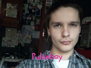 Pulseboy