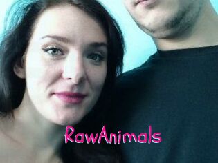 RawAnimals