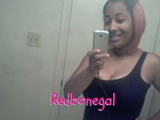 Redbonegal