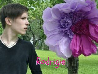 Rodrigie