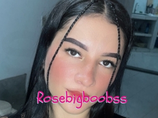 Rosebigboobss