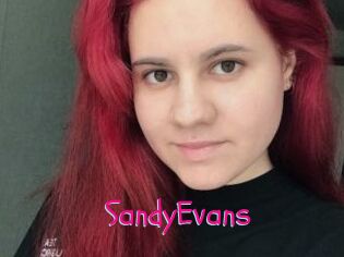 SandyEvans