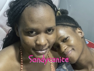 Sandycanice