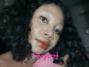 Secypot