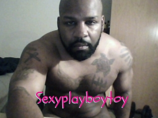 Sexyplayboytoy