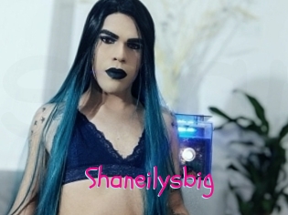 Shaneilysbig