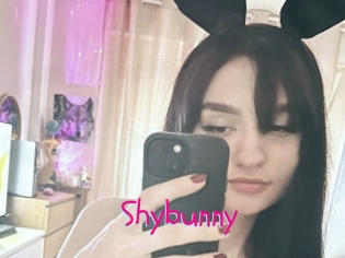 Shybunny