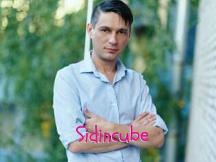 Sid_incube