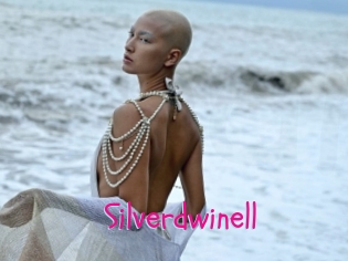 Silverdwinell