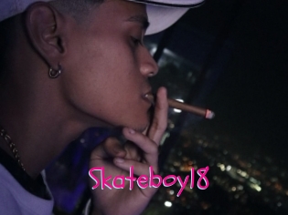 Skateboy18