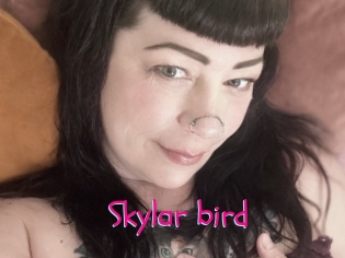 Skylar_bird