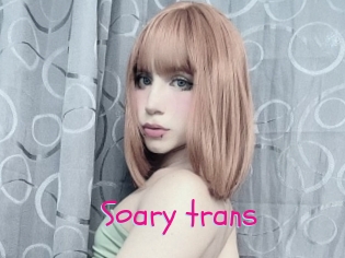 Soary_trans