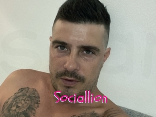 Sociallion