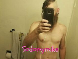 Sodomymike