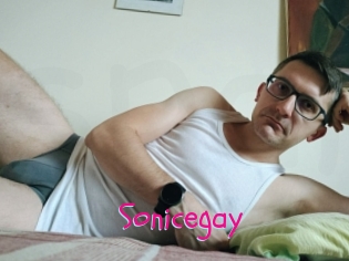 Sonicegay