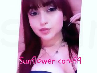 Sunflower_cam99