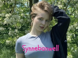 Synnebanwell