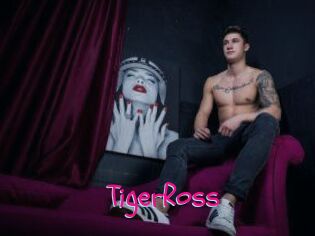 TigerRoss Spanking Sarah