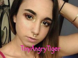 TinyAngryTiger