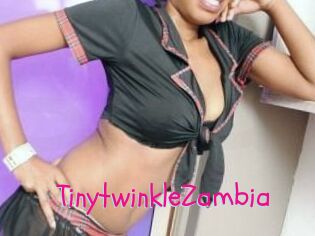 TinytwinkleZambia