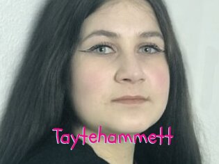 Taytehammett