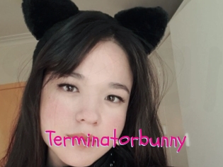 Terminatorbunny