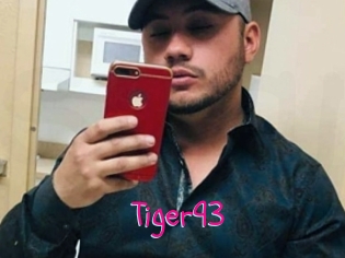 Tiger93