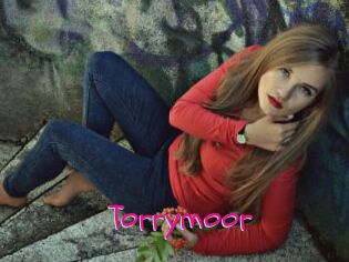 Torrymoor