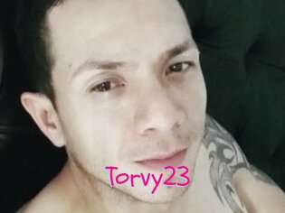 Torvy23