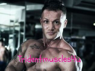 Tridentmuscles4u