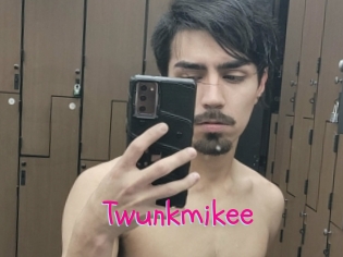 Twunkmikee