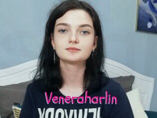 Veneraharlin