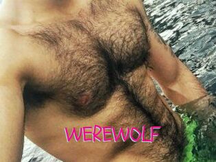 WEREWOLF