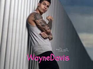 WayneDavis