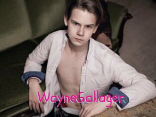 WayneGallager
