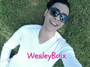 Wesley_Boix