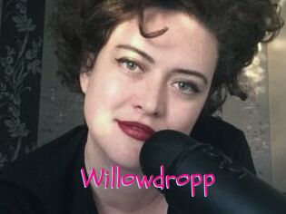 Willowdropp