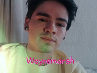 Waynemarsh