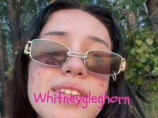 Whitneygleghorn