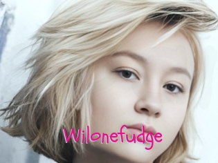Wilonefudge
