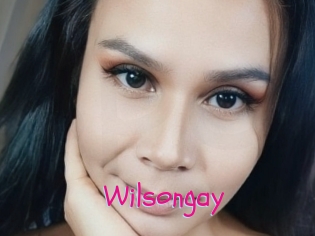 Wilsongay