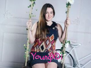 YoungXDi