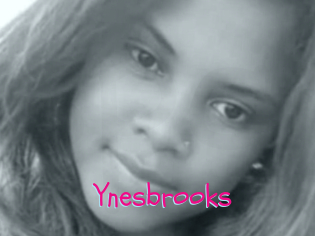 Ynesbrooks